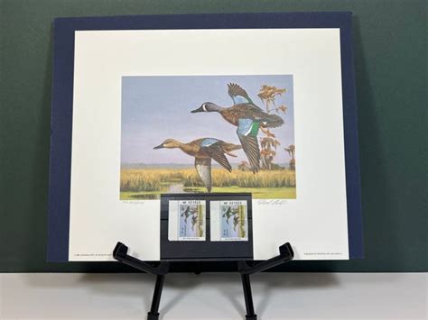 State Duck Stamp Prints At Discounted Prices