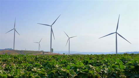 4k Wind Energy Turbines Field With Blue Sky Stock Footage Sbv 322265307