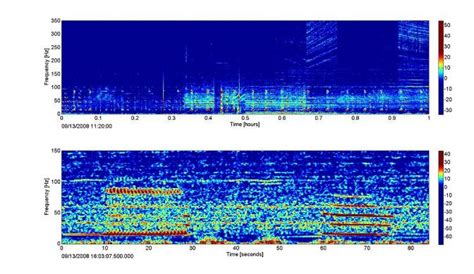 Long Term Spectral Average Ltsa Above And Spectrogram Below Of
