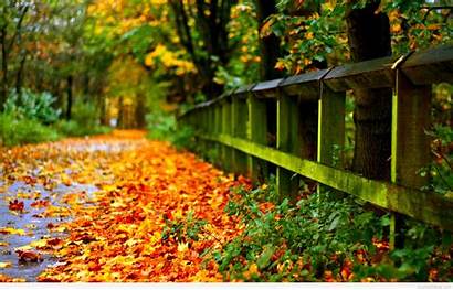 Autumn Widescreen Wallpapers Backgrounds Desktop Leaves Fall