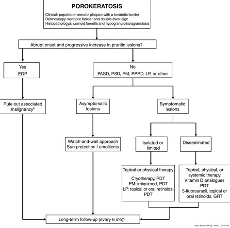 Porokeratosis A Review Of Its Pathophysiology Clinical Manifestations
