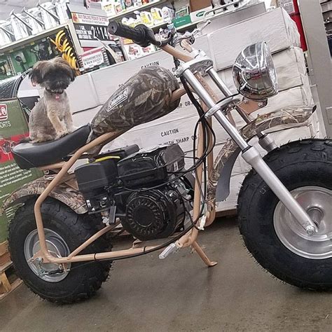 Coleman Camo Mini Bike Goes Up To 24mph And Holds Kids And Adults Up To