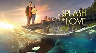 A Splash of Love - Hallmark Channel Movie - Where To Watch