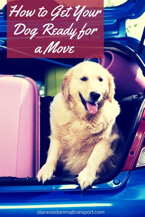 Traveling nationwide and offering both private and group + pet transport. 6 Ways To Get Your Dog Prepared For A Move | Dogs, Moving ...