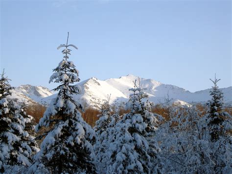 Snow Covered Mountains And Trees At Home In Alaska