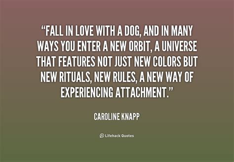Quotes From Dogs To Owner Quotesgram