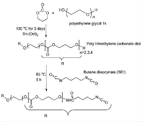 Synthesis Of Polyethylene Glycol Trimethylene Carbonate PEG TMC X 2
