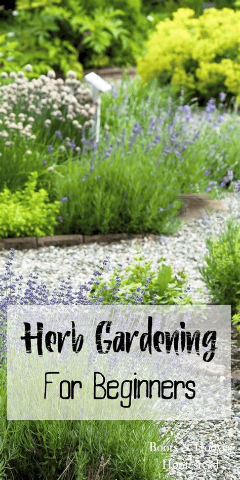 Herb Gardening For Beginners Gardening For Beginners