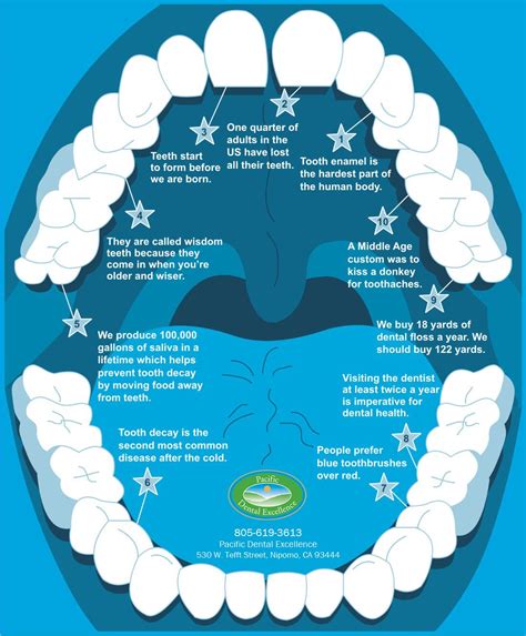 Check This Dental Infographic Dental Facts Emergency Dentist Dental