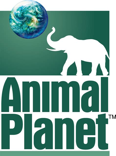 Animal Planet International Logopedia The Logo And Branding Site