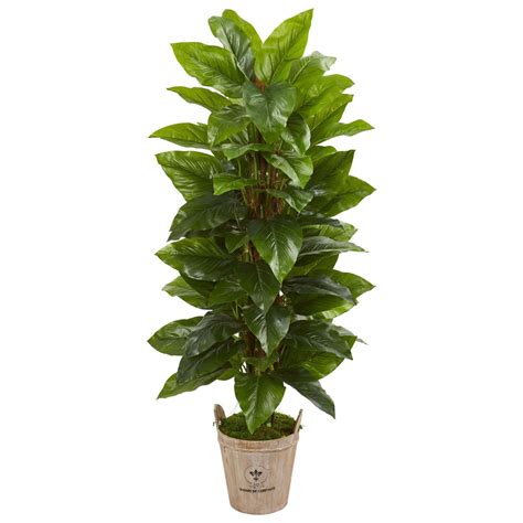 63 Large Leaf Philodendron Artificial Plant In Farmhouse Planter Real