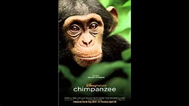 DisneyNature Chimpanzee (2012) Movie Review - YouTube