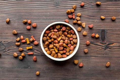 Most pets in habitica have food preferences. Two Types of Dog Food Recalled | Berger and Green Attorneys