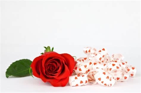 Red Rose And Ribbons Photo Free Download
