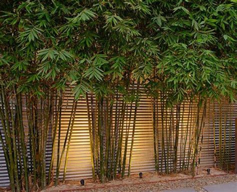 Bamboo Garden Ideas 25 Amazing Ideas With Bamboo Recycled Crafts