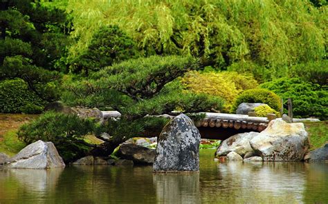 Landscapes Nature Trees Stones Surface Ponds 2560x1600 Wallpaper High