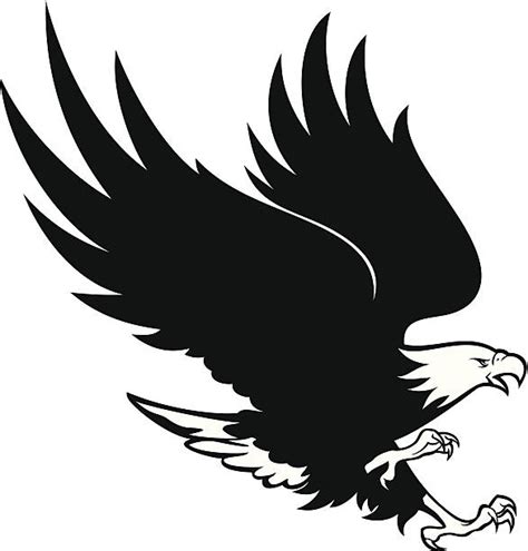 Silhouette Of A Flying Bald Eagle Illustrations Royalty Free Vector
