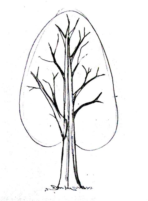 Simple Tree Drawings Free Download On Clipartmag