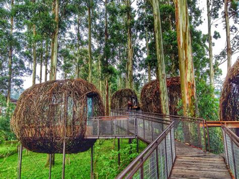 Wisata Alam Khas Sunda Di Dusun Bambu  Katalog Tempat 