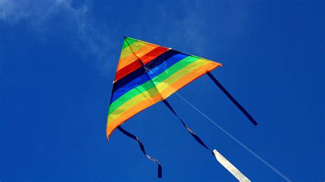 Colorful Kite During Uttarayana Festival Download Hd Wallpapers