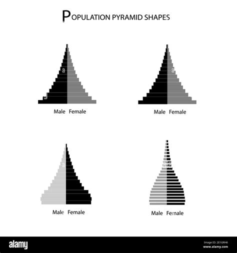 Population And Demography Illustration Set Of 5 Types Of Population Pyramids Chart Or Age