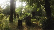 Der Friedhof gehört zum Leben – Grabstättenkultur im Wandel | BIORAMA