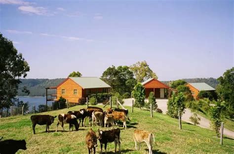 Farm Stays And Bush Resorts What They Are And What To Do In These Places Lets