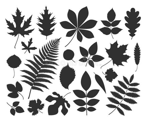 Leaf Silhouette Black Leaves Of Trees And Plants Various Elegance