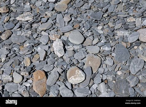 Grey Slate Stones On A Beach Stock Photo Alamy