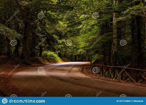 Asphalt Road Through An Autumn Forest Stock Photo Image Of Nature