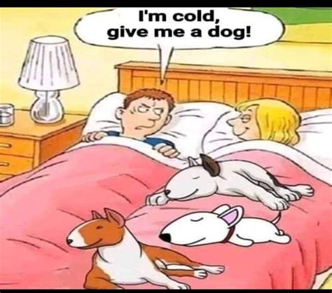 Pin By Dee Brumit On Laugh Out Loud Cartoon Dog Funny Dog Memes