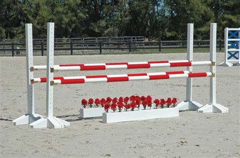12 Striped 12 Solid Perfect Poles Set Of 8 Premier Equestrian