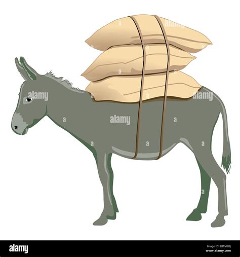 Donkey Carrying Load Stock Vector Images Alamy
