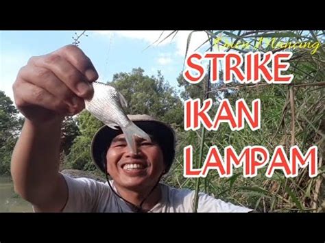 We did not find results for: MANCING IKAN LAMPAM DI SUNGAI YANG SEDANG BANJIR - YouTube