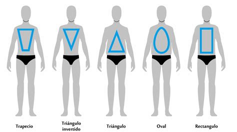 5 Tipos De Cuerpo Masculino Según Su Tipología Stylermx
