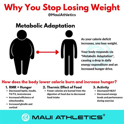 Energy Balance Metabolic Adaptation And Starvation Mode Maui Athletics