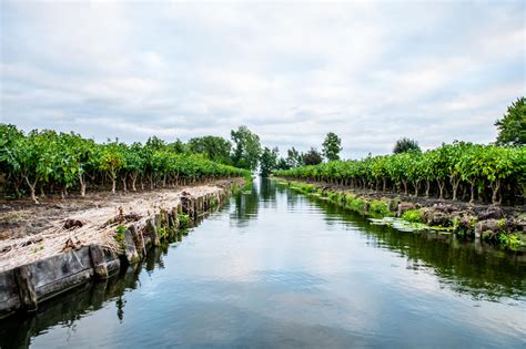 Dankbaar dat ik met vrienden (av aalsmeer) kon mee lopen en dankbaar dat ze me. Kanoroute in Aalsmeer: Bovenlanden - Visit Aalsmeer