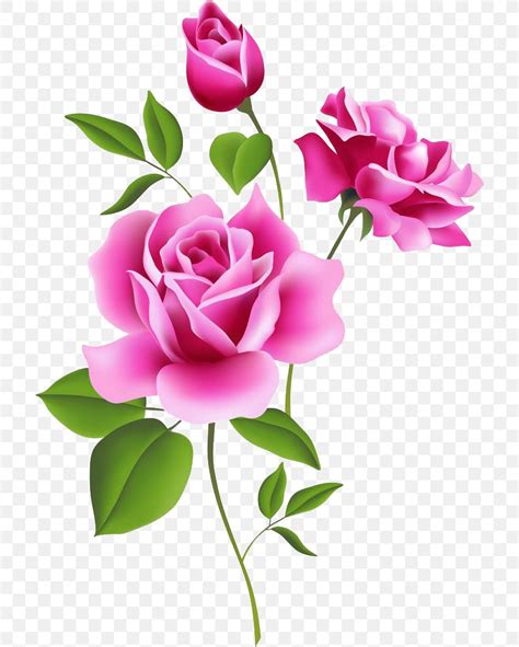Rose Pink Flower Free Content Clip Art Png 708x1024px Rose Bud Cut