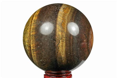 2 8 Polished Tiger S Eye Sphere 191195 For Sale FossilEra Com