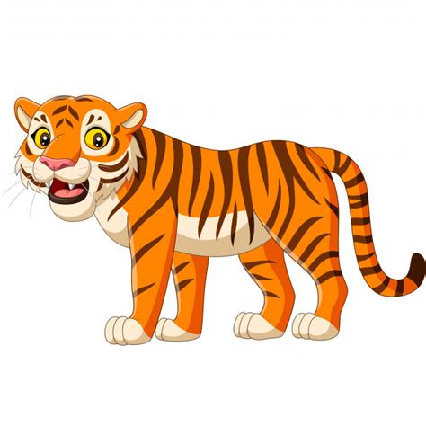 Select from premium tiger cartoon of the highest quality. Cartoon tiger isolated on white | Premium Vector