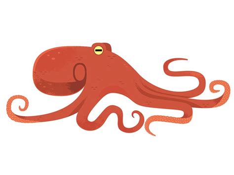 Giant Pacific Octopus In 2023 Octopus Illustration Giant Pacific