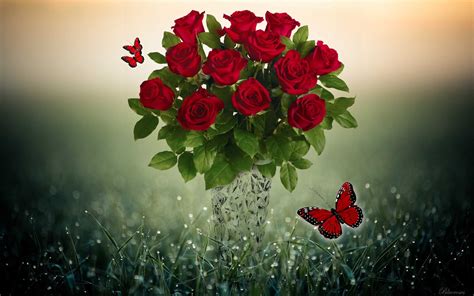 Download Red Rose Red Flower Butterfly Vase Artistic Rose Hd Wallpaper