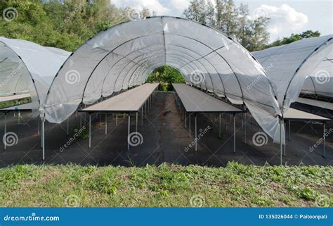Empty Small Cactus Plant Nursery Tent At The Farm Different Cactus