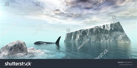 North Sea Iceberg Ocean Killer Whale Stock Illustration 1832787415