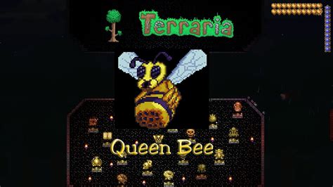 Terraria Queen Bee Youtube