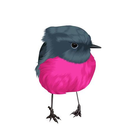 Pink Robin Bird Vector 12862373 Vector Art At Vecteezy