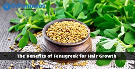 The Benefits Of Fenugreek For Hair Growth Drformulas