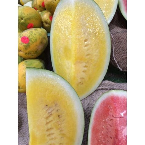 Buy Watermelon Champagne Seeds Mydeal