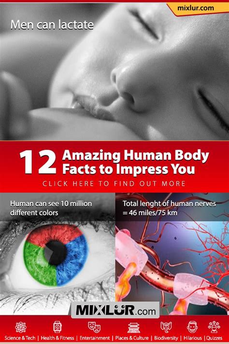12 Amazing Human Body Facts To Impress You Human Body Facts Fun
