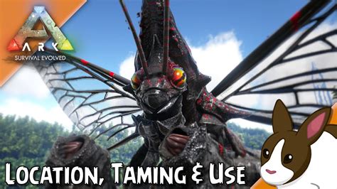 How To Tame Use A Rhyniognatha In ARK Survival Evolved PC PS